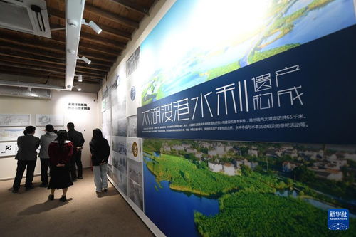 水清岸綠民富 綠色太湖譜新篇——新時代長三角區(qū)域文化場館管理服務(wù)的創(chuàng)新實踐